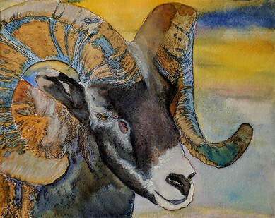 Wildlife Artist Penny WInn, Watercolor Painting, Madrid New Mexico