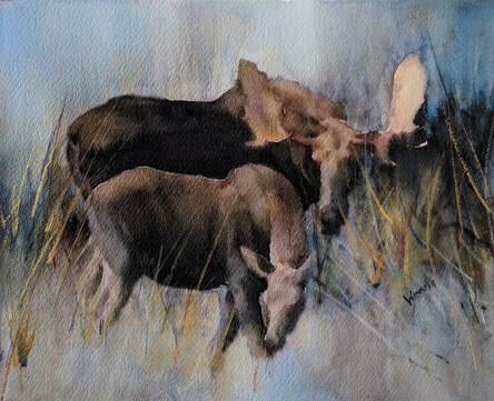 Grazing Moose, Wildlife Artist Penny Winn, Watercolor Painting, Madrid New Mexico