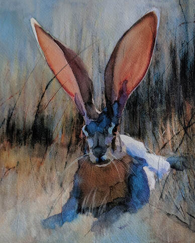 wildlife artist, jackrabbit in grass painting, artist penny winn, watercolor painting