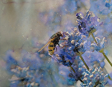 Turquoise Trail Lavender Farm, Wildlife Artist Penny Winn, Watercolor Painting, Madrid New Mexico