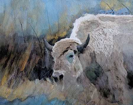 Sacred White Buffalo, Bison, Watercolor Artist Penny Winn